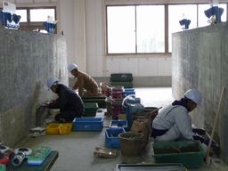 P1000027.JPG